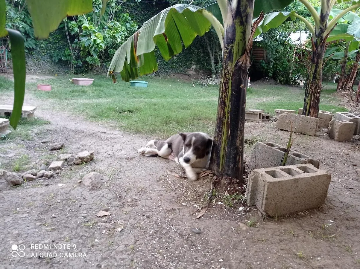 Bed & Breakfast Paraiso Hortensia Ecolodge Santiago De Los Caballeros
