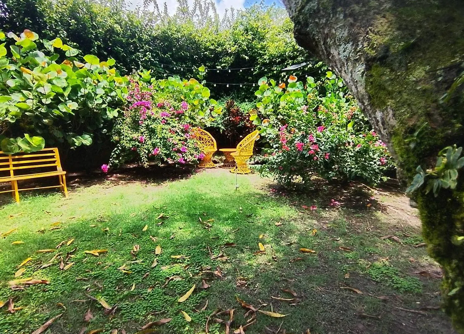Paraiso Hortensia Ecolodge Santiago De Los Caballeros Alojamento de Acomodação e Pequeno-almoço