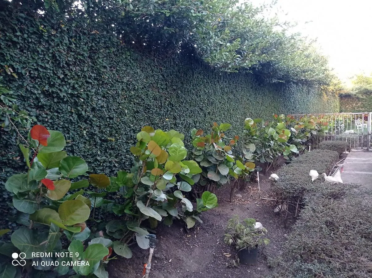 B&B Paraiso Hortensia Ecolodge 산티아고 데 로스 카바예로스 도미니카 공화국