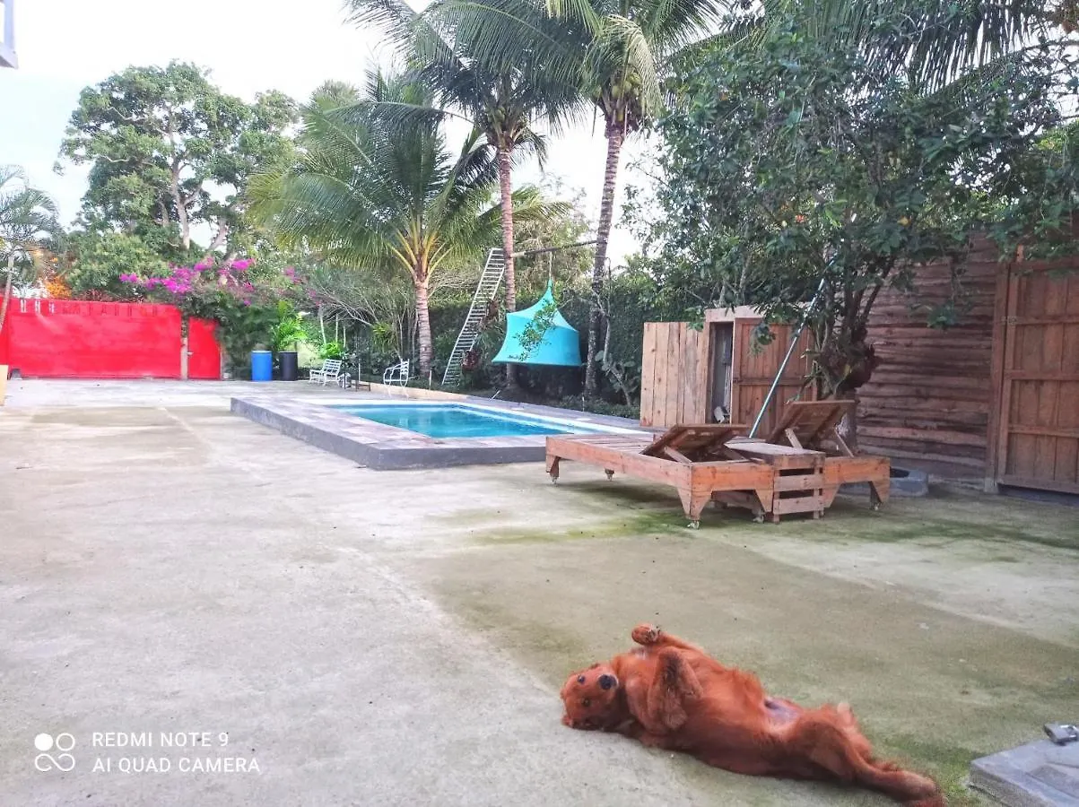 Paraiso Hortensia Ecolodge Santiago De Los Caballeros Bed & Breakfast