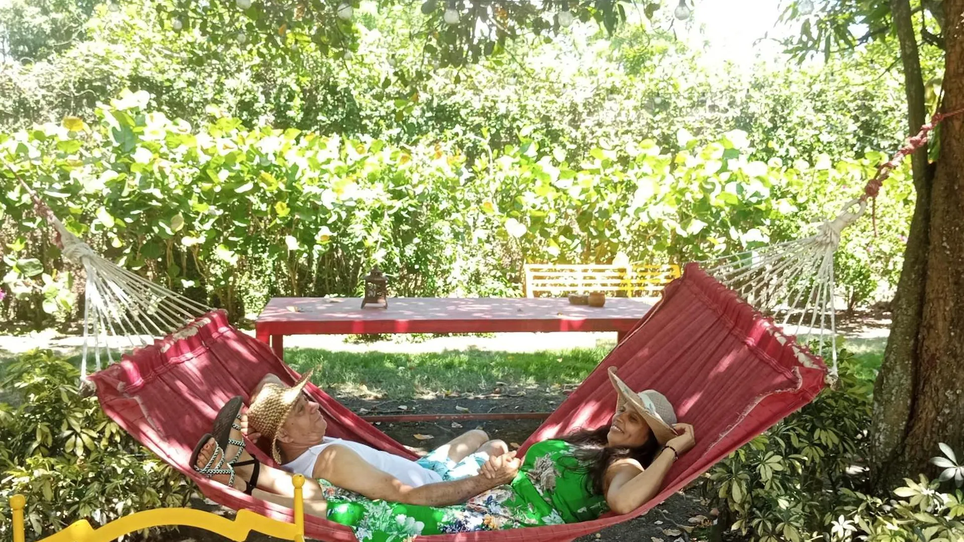 Paraiso Hortensia Ecolodge Santiago De Los Caballeros Bed & Breakfast