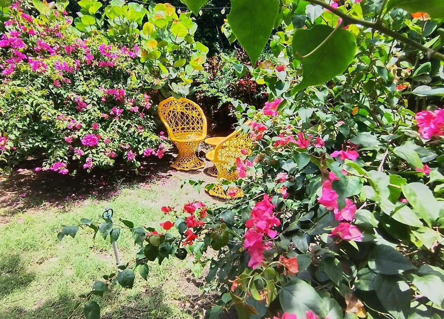 Bed & Breakfast Paraiso Hortensia Ecolodge Santiago De Los Caballeros