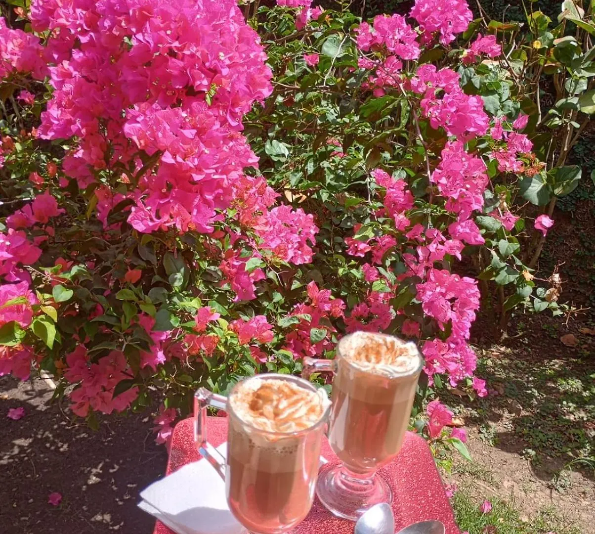 Bed & Breakfast Paraiso Hortensia Ecolodge Santiago De Los Caballeros