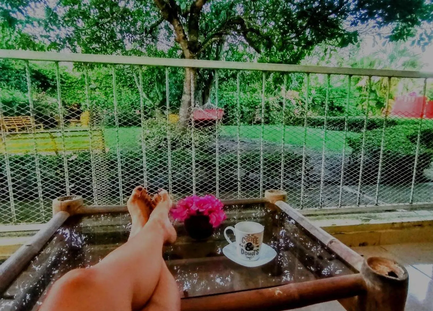 Paraiso Hortensia Ecolodge Santiago De Los Caballeros Bed & Breakfast