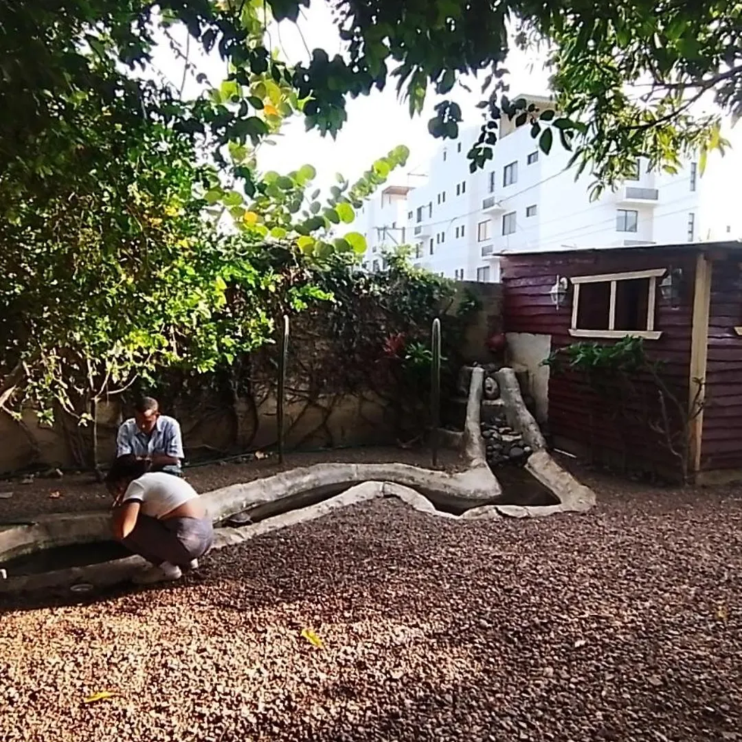 Bed & Breakfast Paraiso Hortensia Ecolodge Santiago De Los Caballeros Dominican Republic